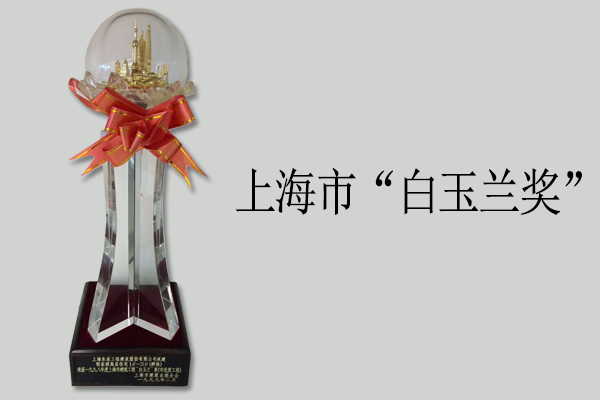 上海市“白玉蘭獎”